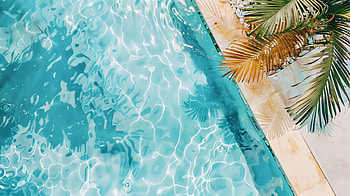 Relaxing Poolside Vibes - for Ultimate Chill, pool, poolside vibe, water, palm leaf HD wallpaper