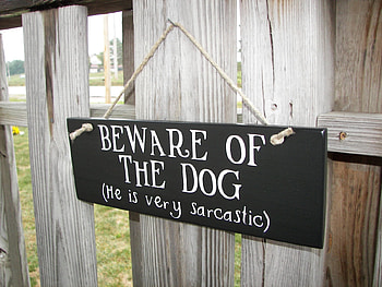 a dog's temperament, sarcasm, dogs, funny, owners HD wallpaper