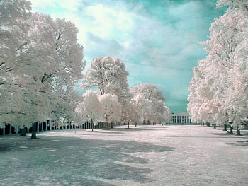 Corridor, winter, blue sky, snow, cold, trees, road HD wallpaper