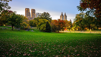 Central Park, Autumn, USA, Skyline HD wallpaper