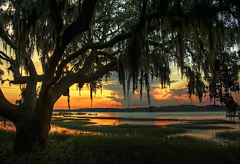 Georgia, Landscape HD wallpaper