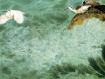 Comorants, sea, birds, art HD wallpaper