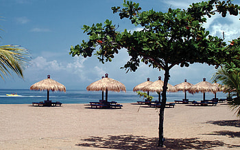 Bali coastal charm, Tropical paradise, Beachside beauty, Oceanside serenity HD wallpaper