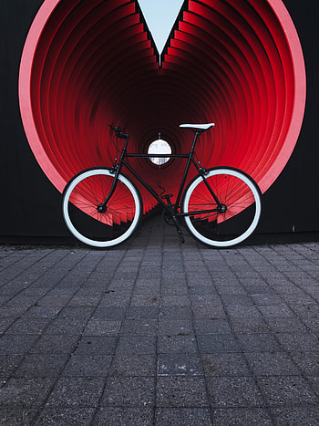 Transport, Miscellanea, Miscellaneous, Trumpet, Pipe, Street, Bicycle HD phone wallpaper