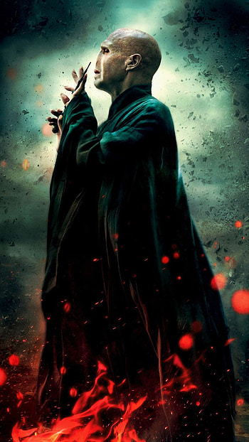 Harry Potter, Lord Voldemort , Dark wizard, Magical franchise HD phone wallpaper
