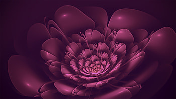 Purple flower fractal, purple, abstract, art, flower, fractal HD wallpaper