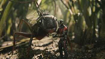 Ant-Man, background, Amazing visual, Striking HD wallpaper