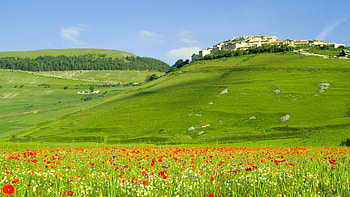 Landscape, Fields HD wallpaper