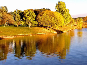 Deep Gold Reflections, trees, autumn, sky, water HD wallpaper
