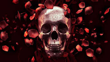 Skull, rose petals, digital art HD wallpaper
