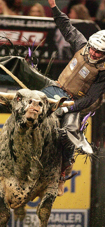 Rodeo , Popular backgrounds HD phone wallpaper