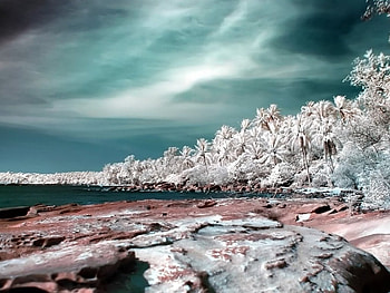 rocky mountain, trees, rocks, stones, beach HD wallpaper