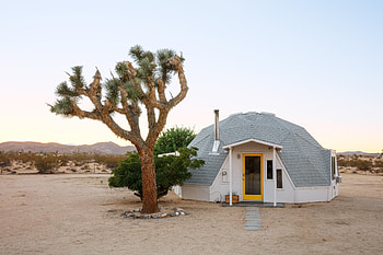 Joshua Tree, Desert beauty, Stunning landscapes, Natural wonder HD wallpaper