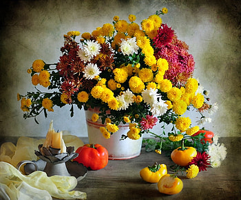 Still life, fruit, flowers, colorus HD wallpaper