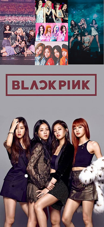Blackpink, hair, graph HD phone wallpaper
