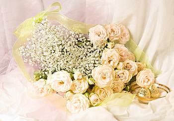 Lovely roses, delicate, beautiful, flowers, roses HD wallpaper