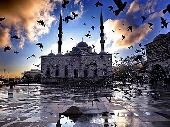 eminonu square,istanbul, dove, istanbul, mosque, square, eminonu HD wallpaper