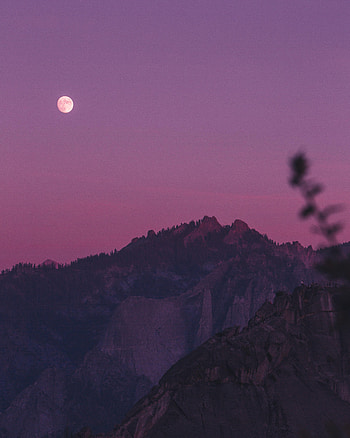 Nature, Trees, Sunset, Rocks, Branches HD phone wallpaper