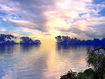 Nature, Trees, Sky, Clouds, Lake, Bird, Flight HD wallpaper
