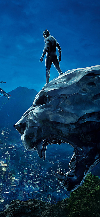 T'Challa — Black Panther (Movie) , Black Panther (Marvel Comics), movie HD phone wallpaper