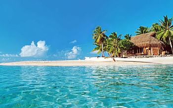Tahiti beach, Tranquil paradise, Exotic beauty, -perfect HD wallpaper