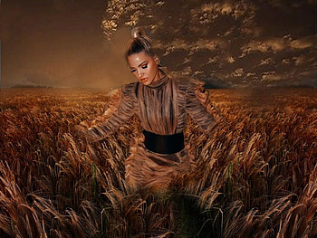 Delicate Brown, golden, delicate, brown, black, bright, field, girl, lovely HD wallpaper