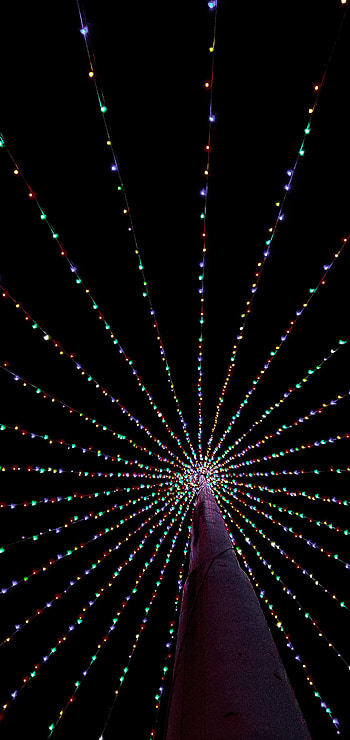 Arbol de navidad, electric blue, midnight HD phone wallpaper