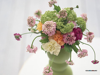 Flowers in vase, still life, bouquet, pretty, flower, nature HD wallpaper