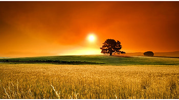 oklahoma sunset HD wallpaper