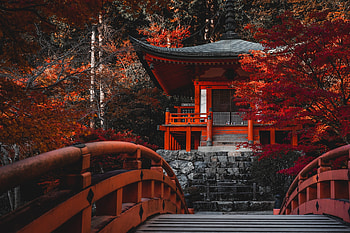 Zen Gardens, Peaceful Temples, Serene Landscapes, Tranquil Escapes HD wallpaper