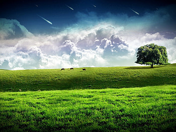 A Dreamy World, field, clouds, sky, hill, tree HD wallpaper