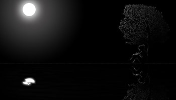 Sad boy, night, river, lonley, akul, breakup, tree, sad, moon, boy HD wallpaper