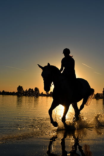 A silhouette of a person riding a horse on the beach at sunset, creating a serene and dynamic scene. HD phone wallpaper