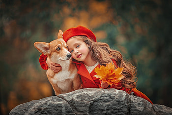 Little Girl, Friends, Autumn leaves, Dog, Stones HD wallpaper