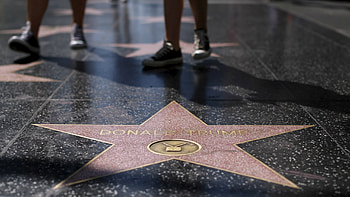 Red carpet fame, Walk of recognition, Star-studded boulevard, Celebrity spotlights HD wallpaper