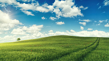 Green landscape, adorable, sunny day HD wallpaper