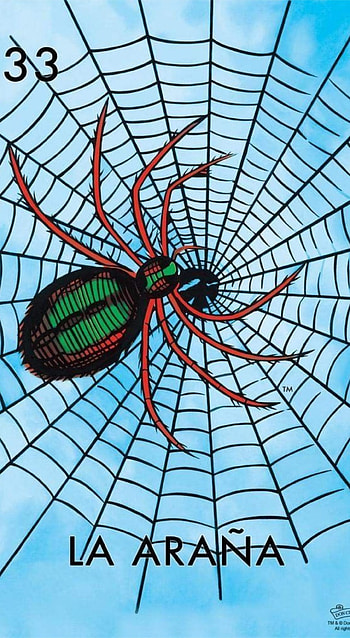 Araña Mex, Mexico, Arana HD phone wallpaper