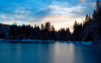Nature, Rivers, Trees, Sky, Evening HD wallpaper