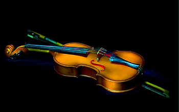 Violin, music, art, beauty HD wallpaper