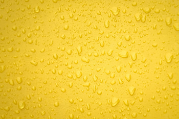 Drops, Macro, Surface HD wallpaper