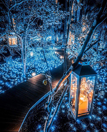 Fairy road in Japan, glass, world HD phone wallpaper
