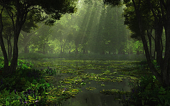 Landscape, Rivers HD wallpaper