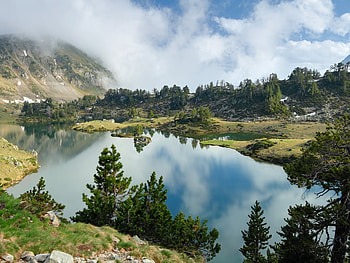 Lake, grass, nature, tree HD wallpaper