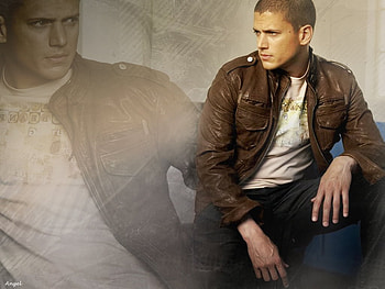 Wentworth Miller, tv sieres, hot, actors, prison break HD wallpaper