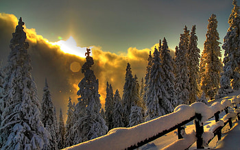 Nature, Mountains, Sun, Clouds, Snow, Glare, Forest, Fencing, Enclosure, Glimpses HD wallpaper