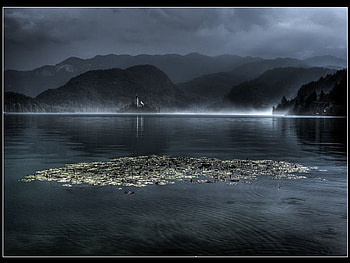 After The Rain, rain, after HD wallpaper