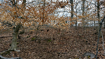 Bluff Hill, Nature, Rurual, Bluff, Tennessee HD wallpaper