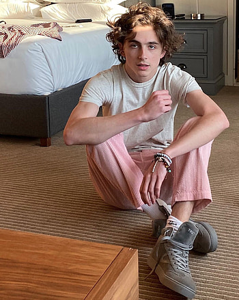 Timothee chalamet HD phone wallpaper