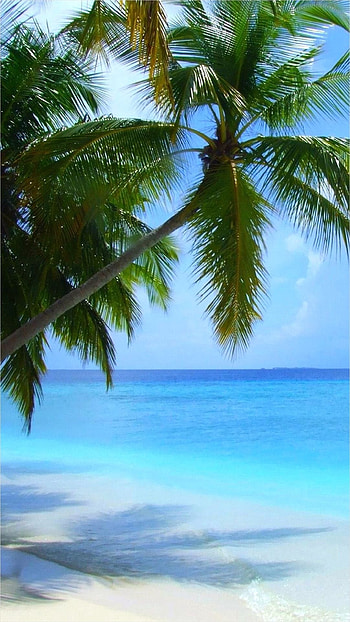 galaxy beach , nature , Stunning , Tropical beach HD phone wallpaper