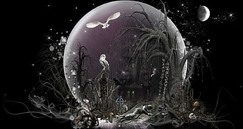 Fairy Dust Collection, fairy, owls, gothic, fantasy HD wallpaper